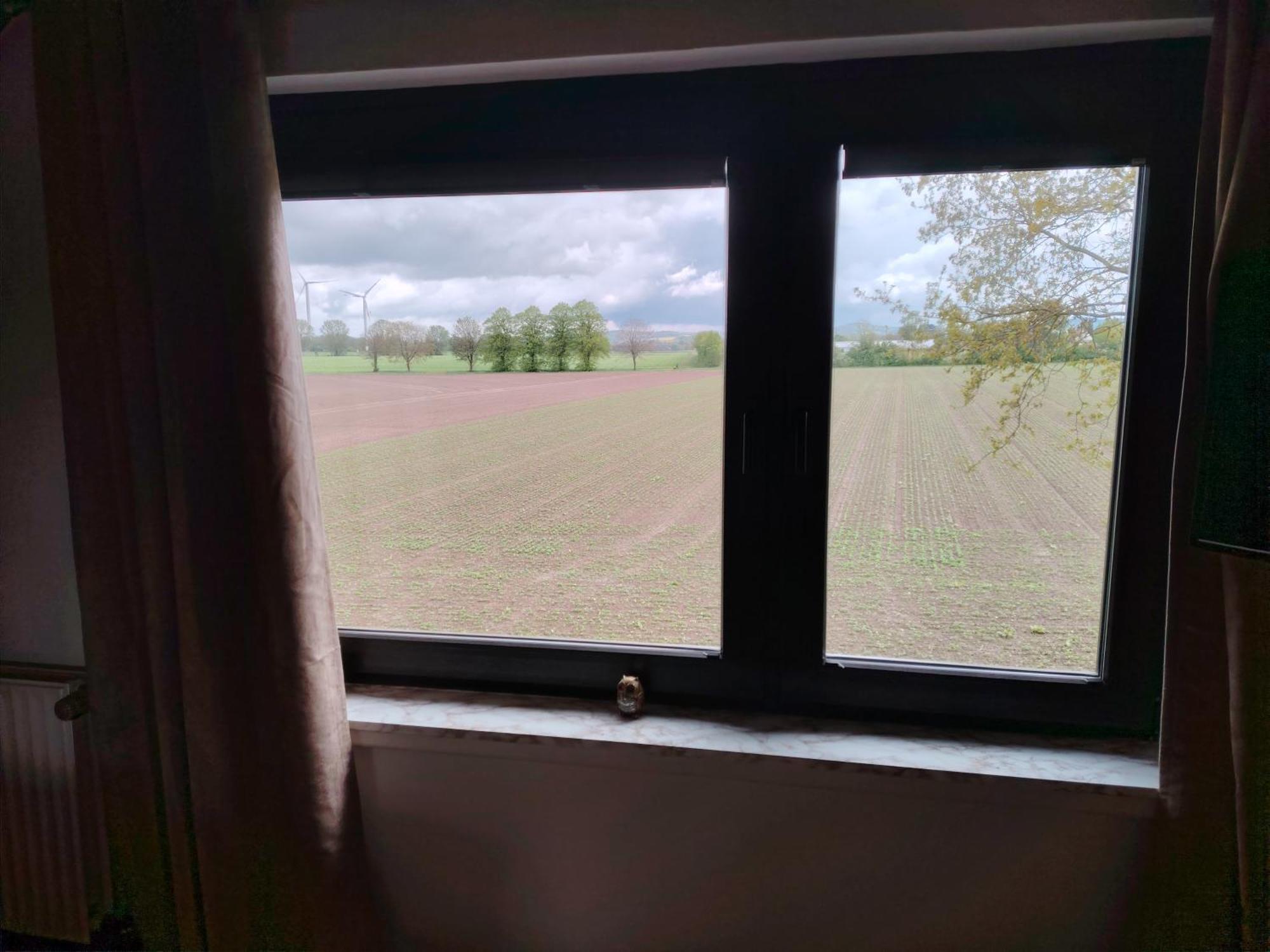 Brini'S Ferienwohnung Im Gruenen Lage  エクステリア 写真
